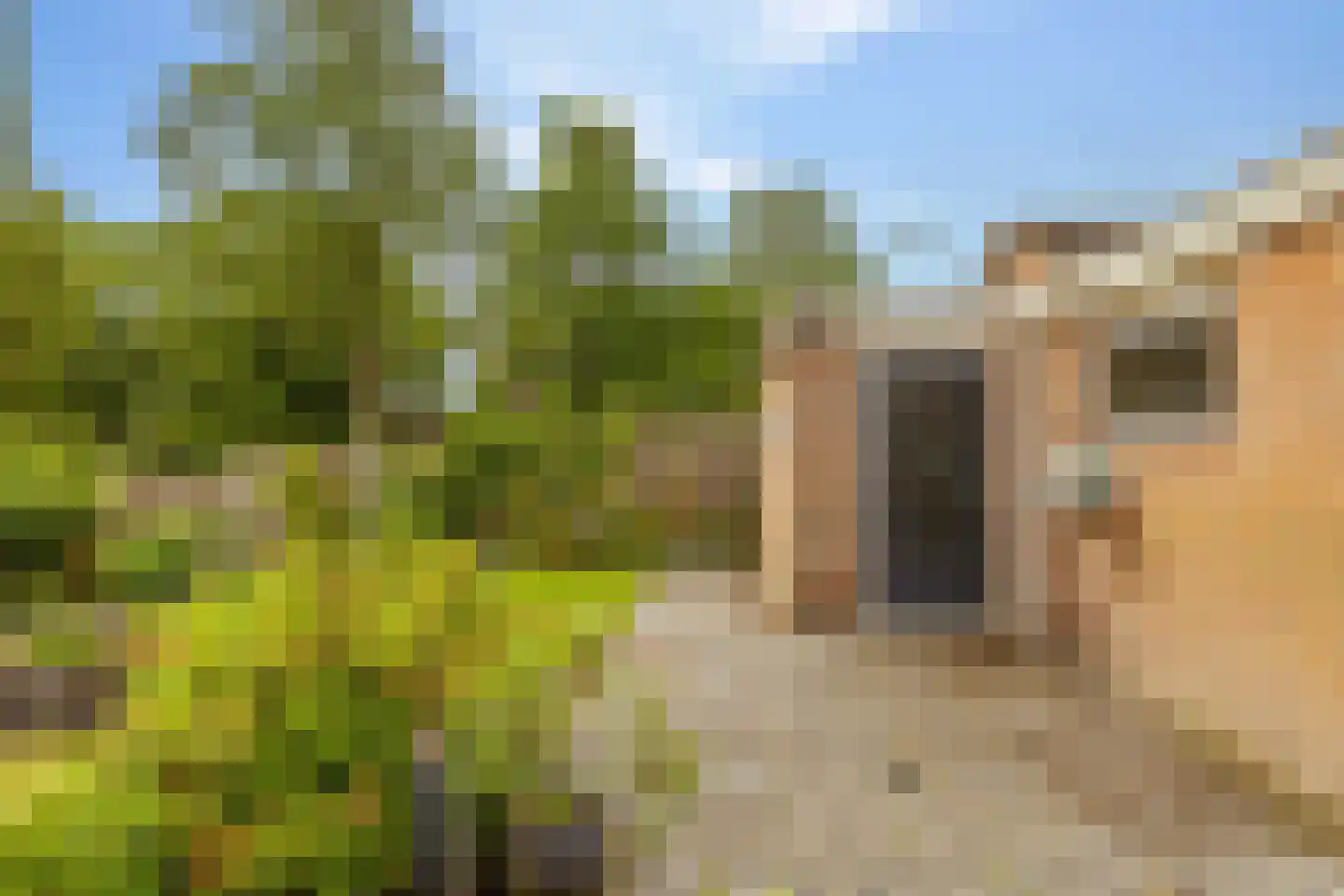 Hennepkamp 14 Hoogeveen thumbnail 19