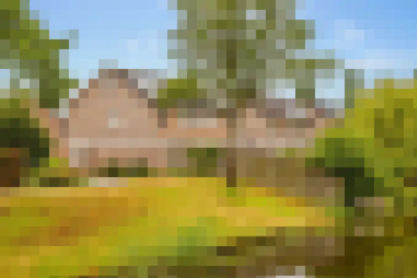 Hennepkamp 14 Hoogeveen thumbnail 37