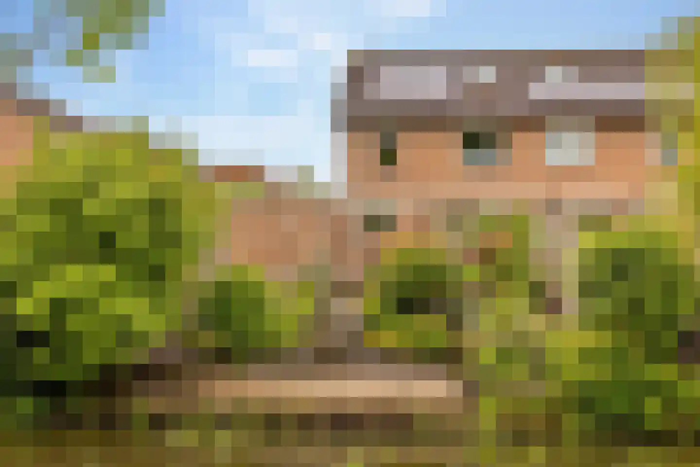 Hennepkamp 14 Hoogeveen thumbnail 39