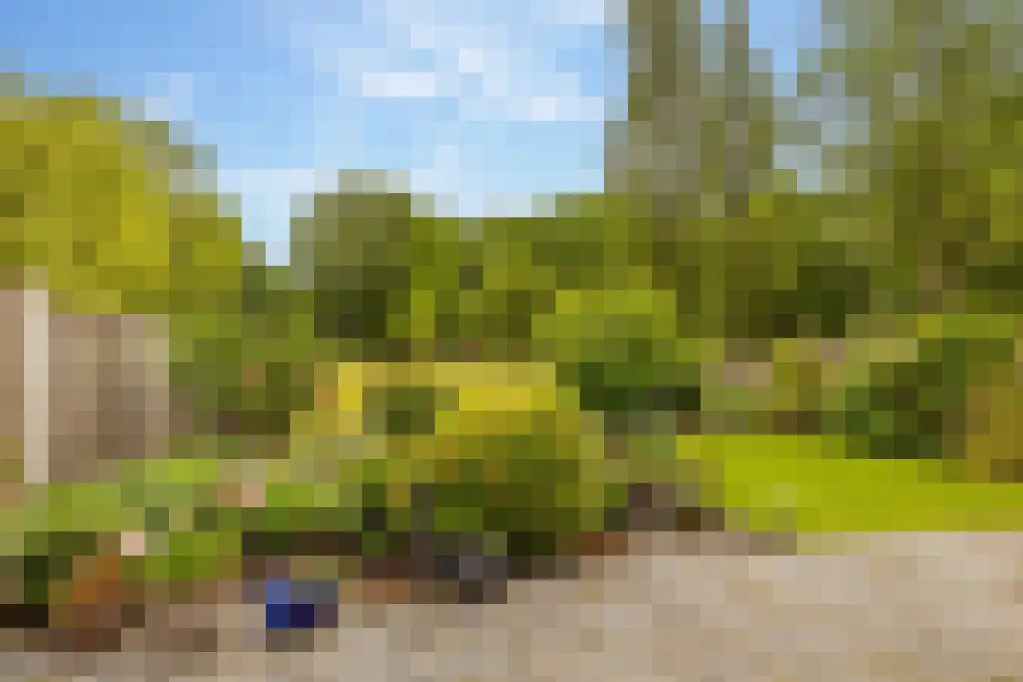 Hennepkamp 14 Hoogeveen thumbnail 40