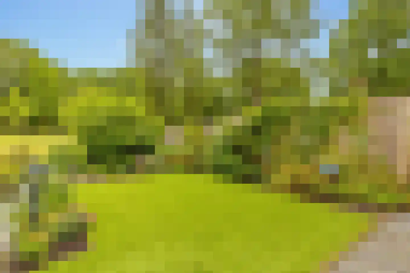 Hennepkamp 14 Hoogeveen thumbnail 41