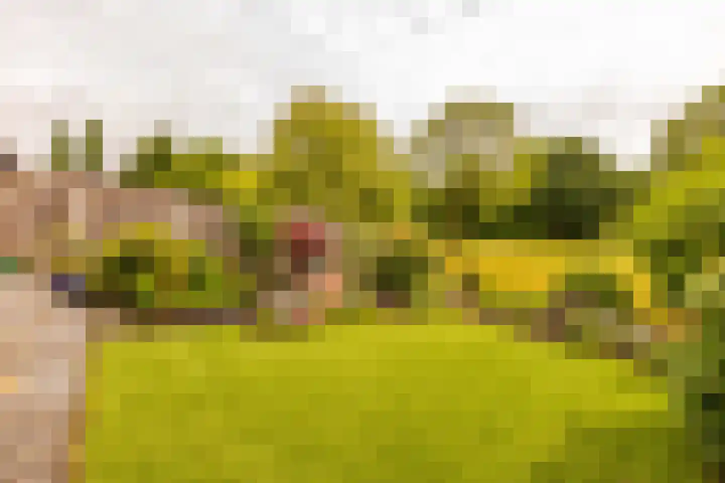 Hennepkamp 14 Hoogeveen thumbnail 42