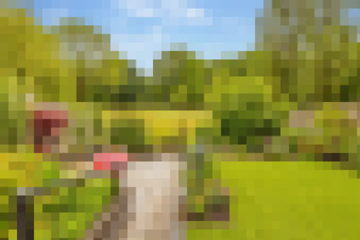 Hennepkamp 14 Hoogeveen thumbnail 44