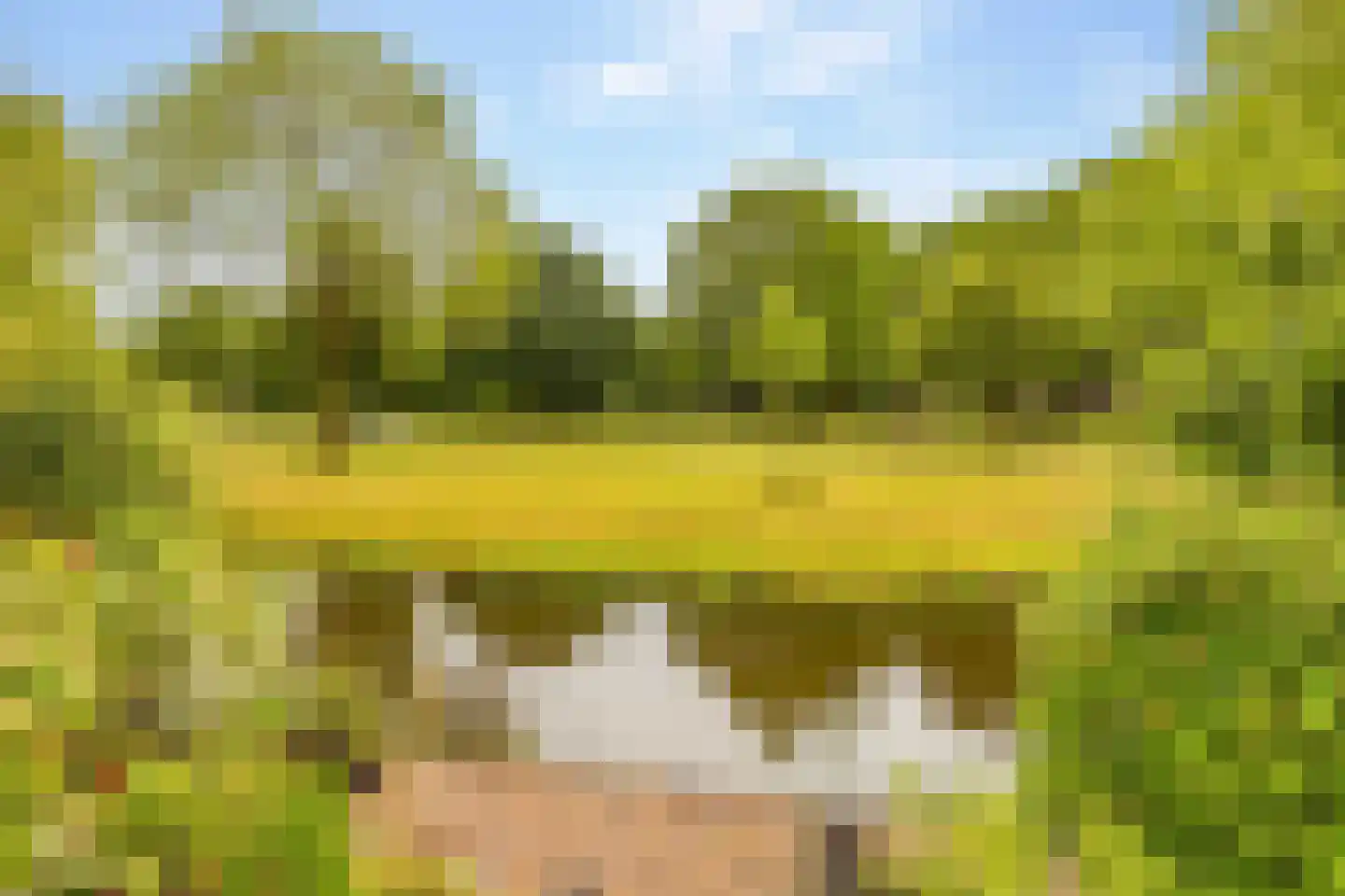 Hennepkamp 14 Hoogeveen thumbnail 45