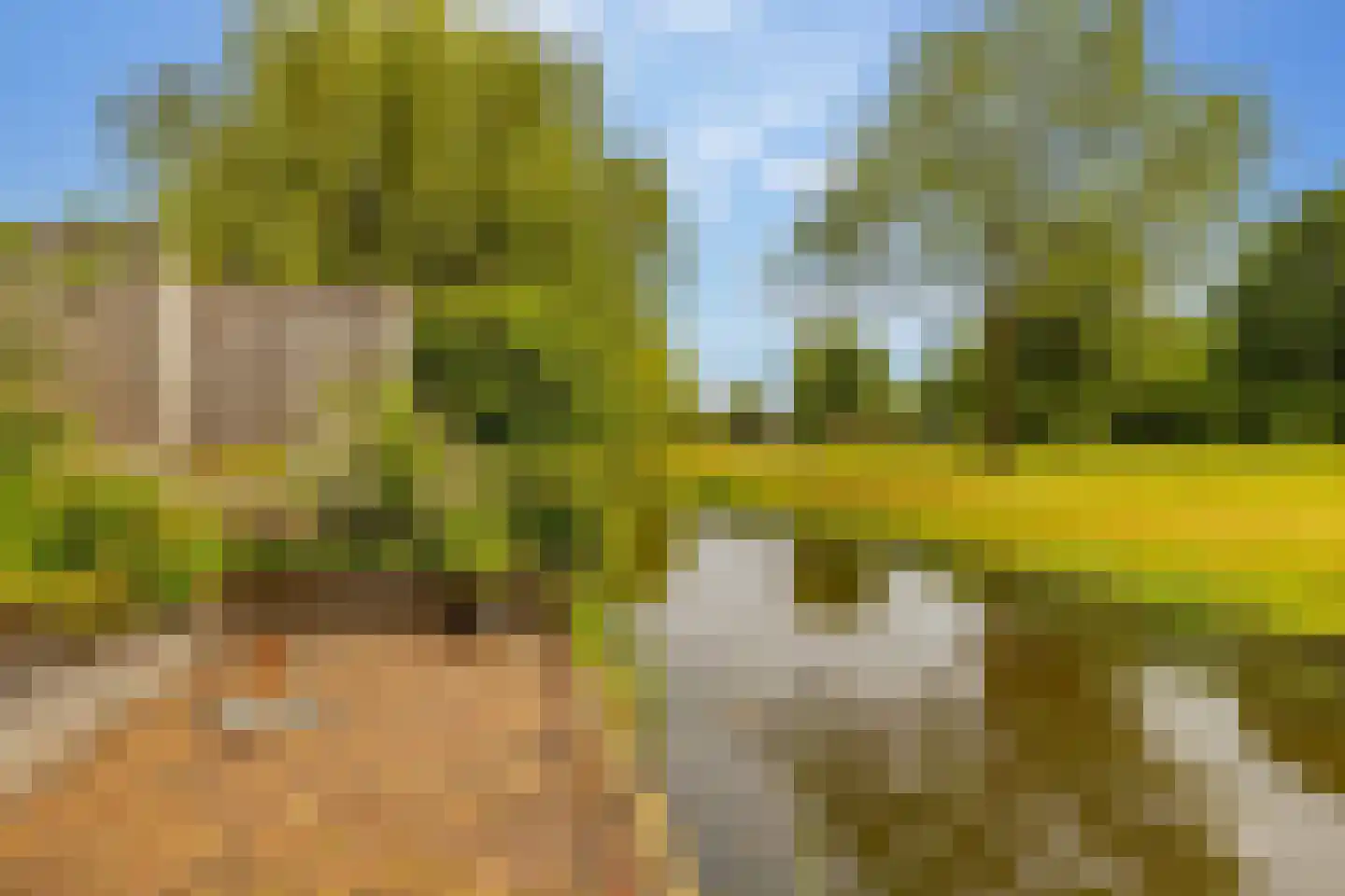 Hennepkamp 14 Hoogeveen thumbnail 48