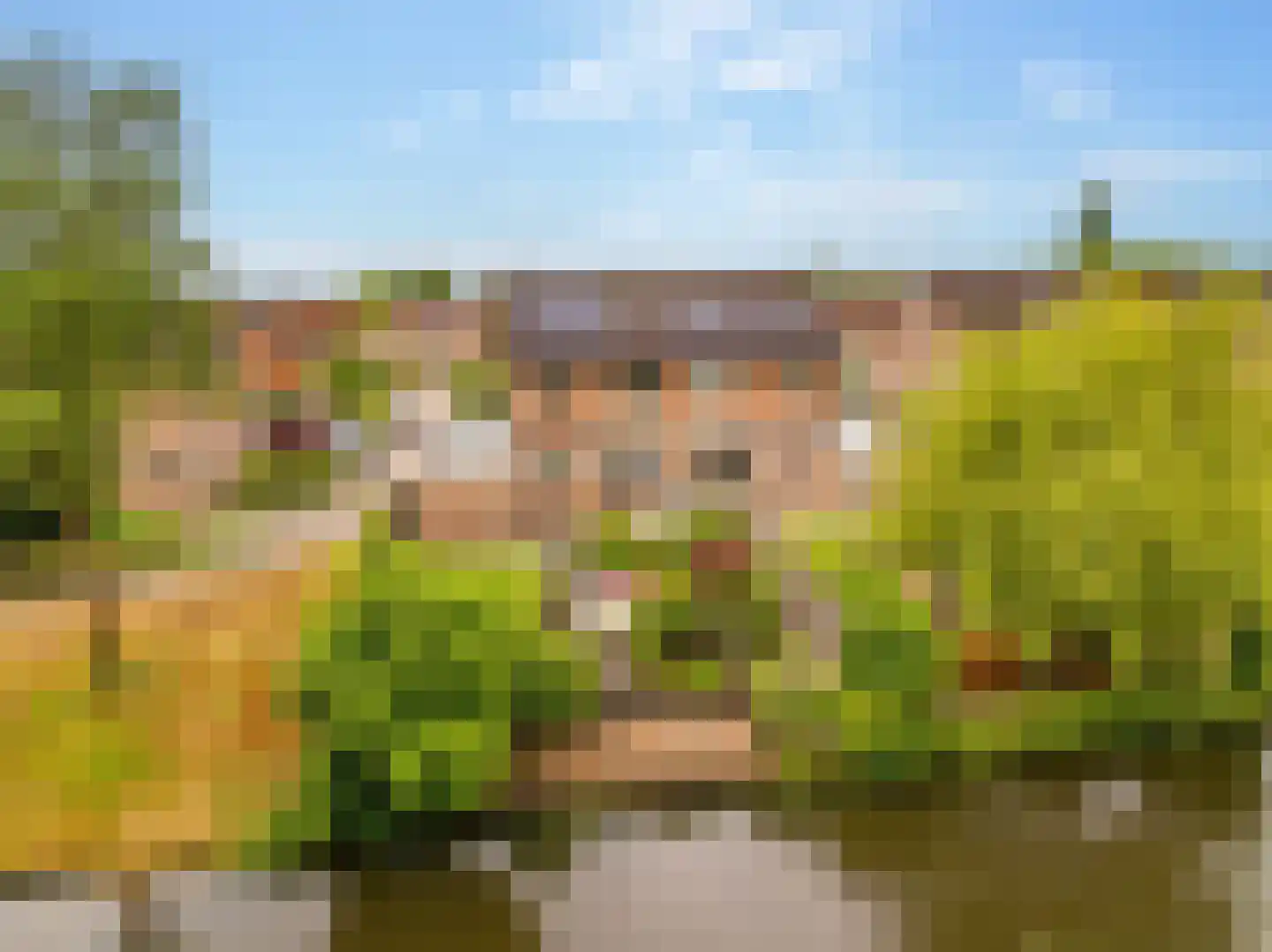 Hennepkamp 14 Hoogeveen thumbnail 5