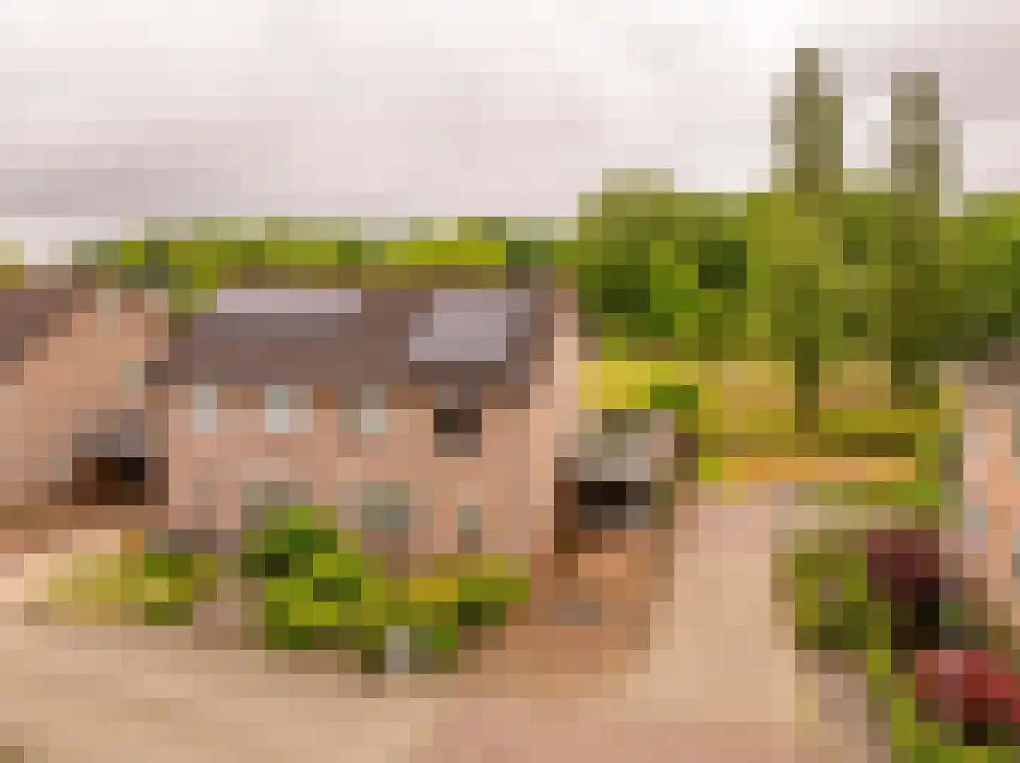 Hennepkamp 14 Hoogeveen thumbnail 50