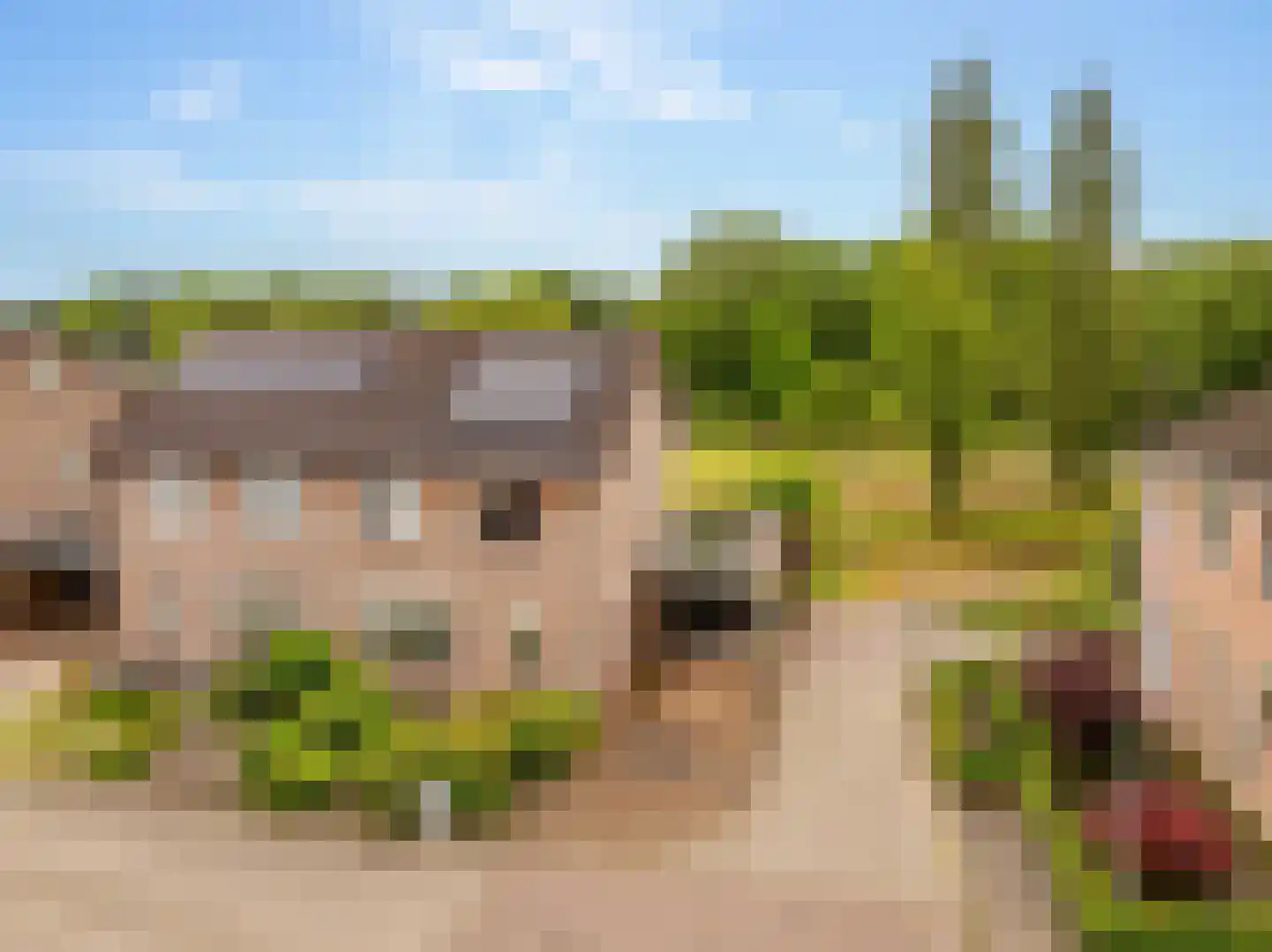 Hennepkamp 14 Hoogeveen thumbnail 52