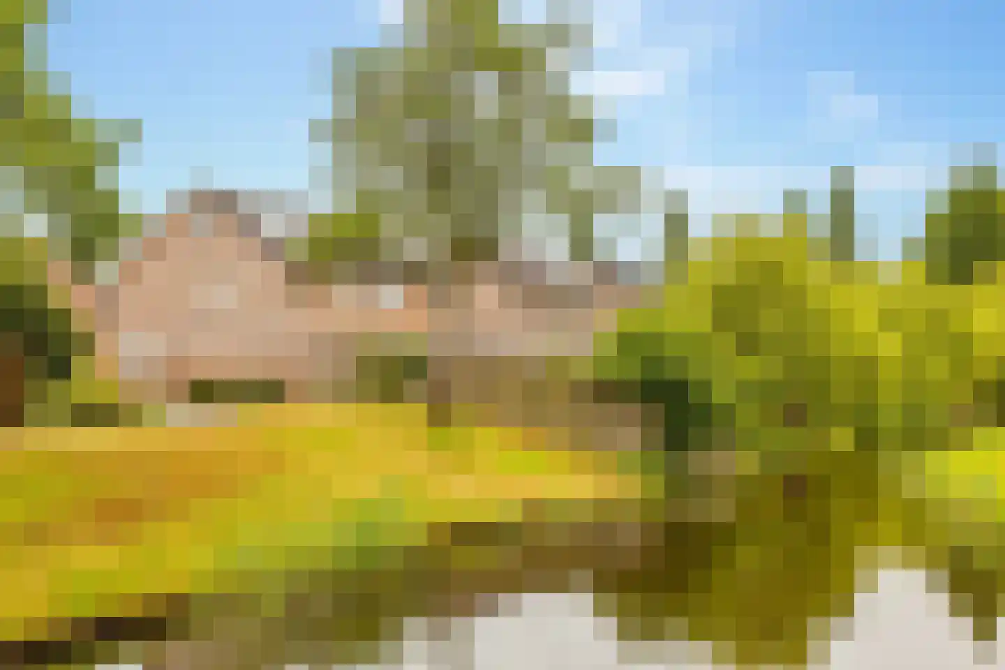 Hennepkamp 14 Hoogeveen thumbnail 55