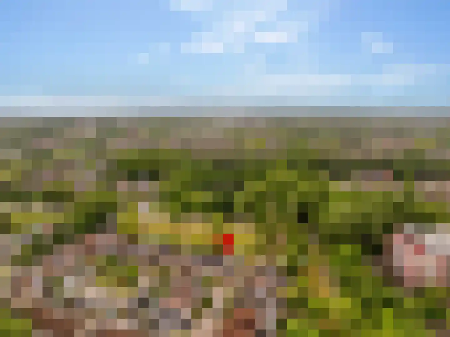 Hennepkamp 14 Hoogeveen thumbnail 57