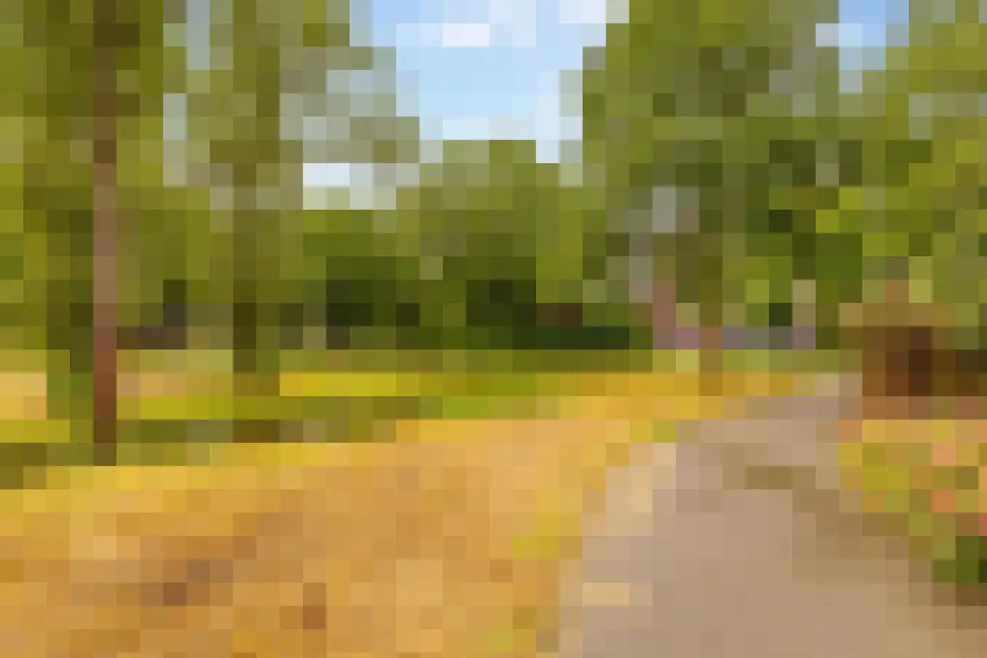 Hennepkamp 14 Hoogeveen thumbnail 58