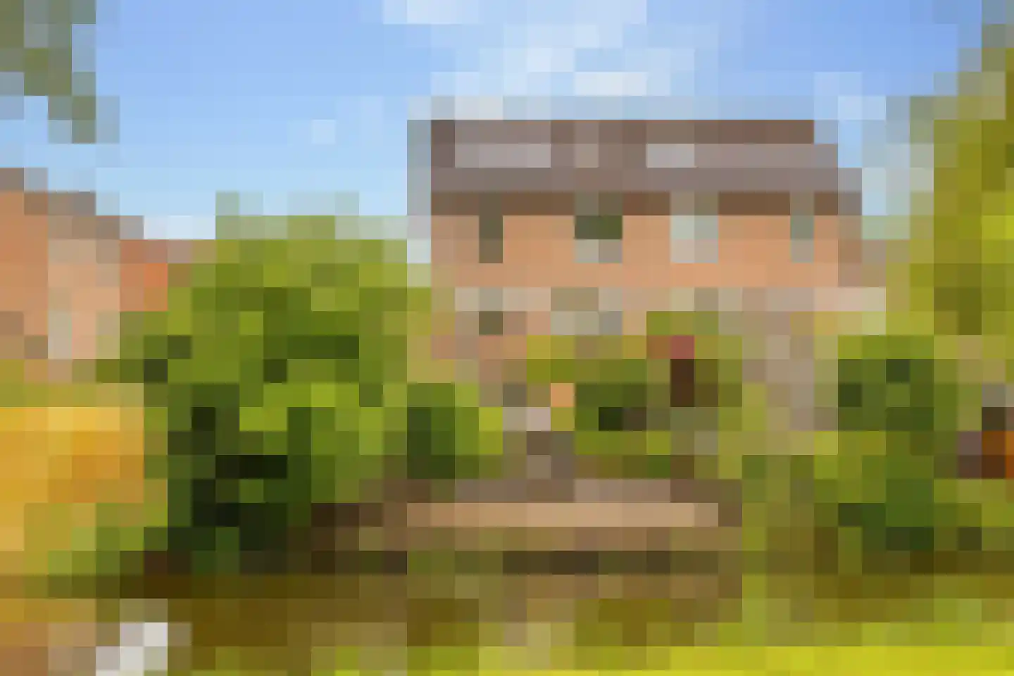 Hennepkamp 14 Hoogeveen thumbnail 6