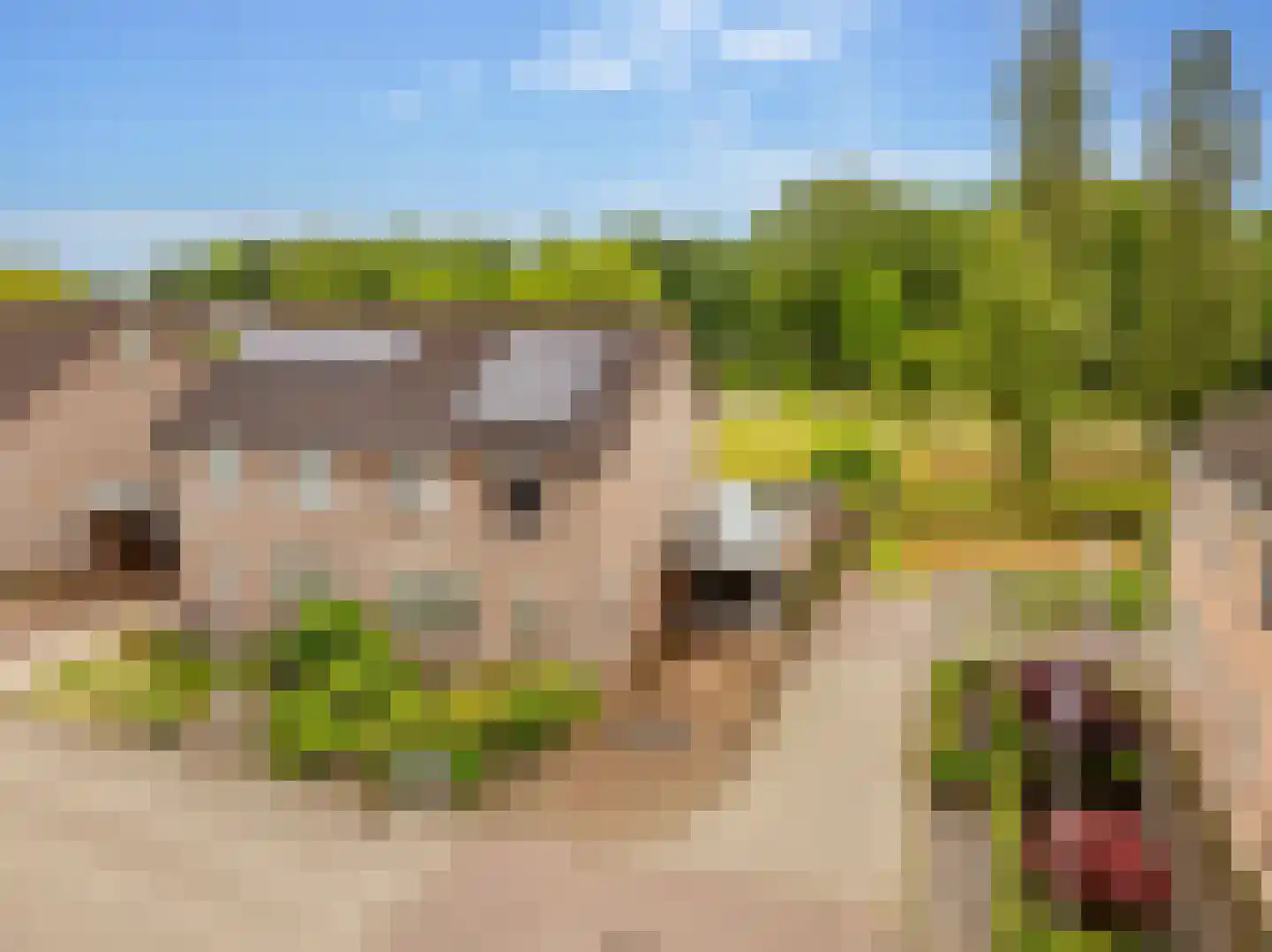 Hennepkamp 14 Hoogeveen thumbnail 7