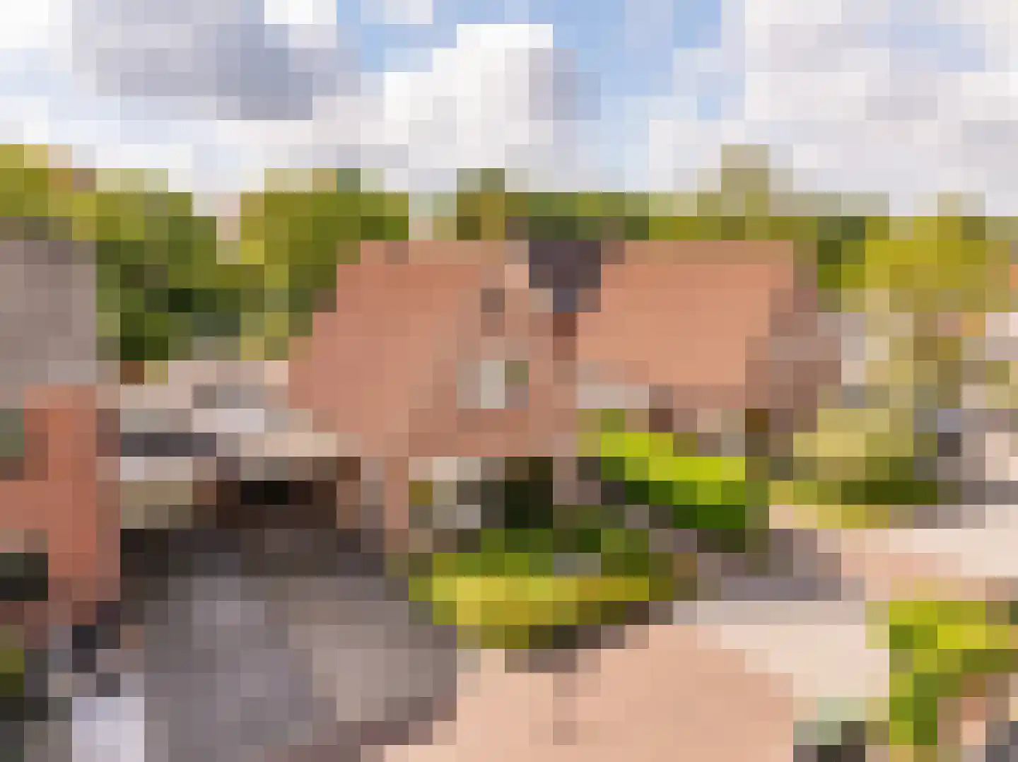 Hennepkamp 4 in Hoogeveen