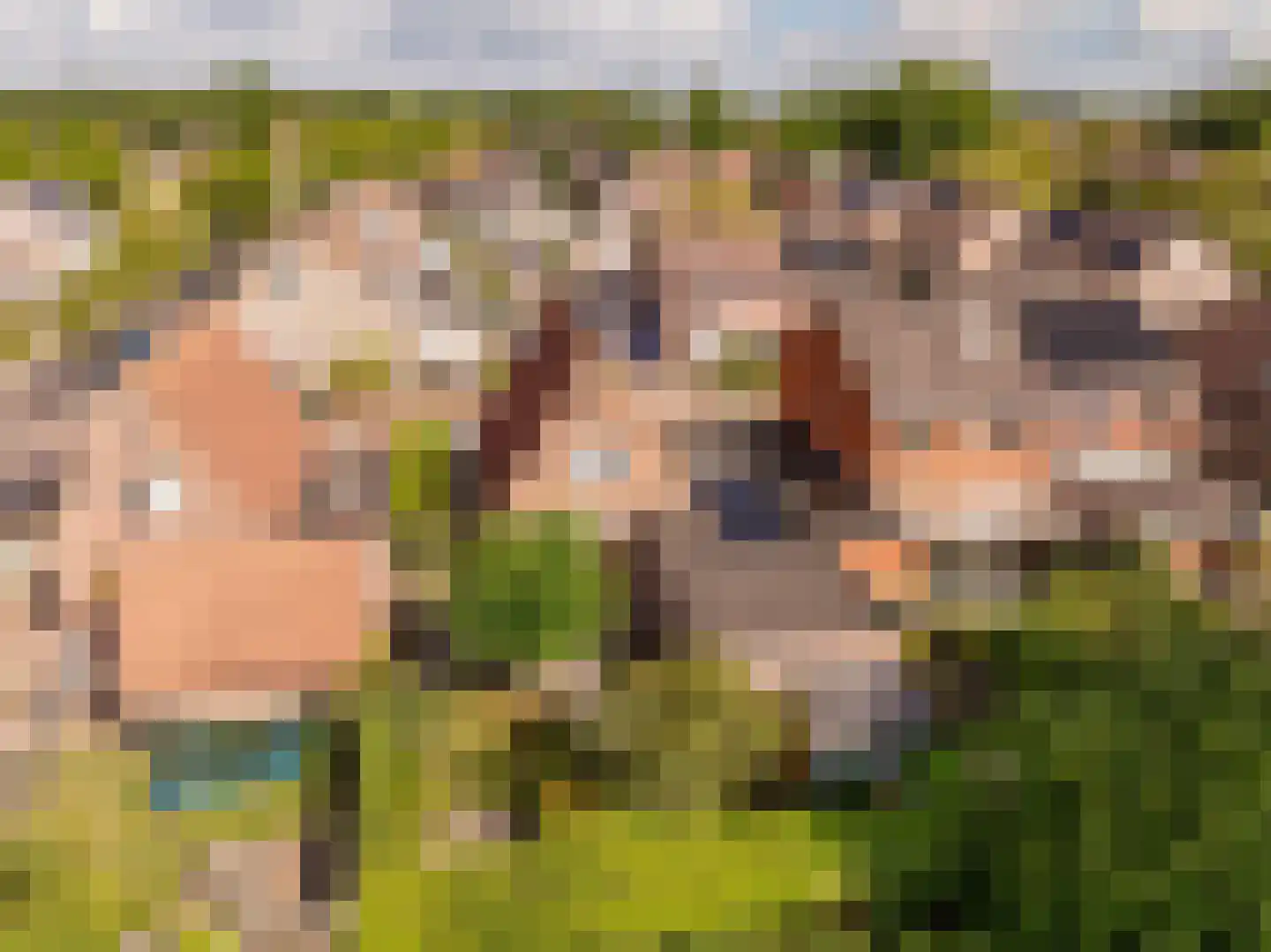 Hennepkamp 4 Hoogeveen thumbnail 36