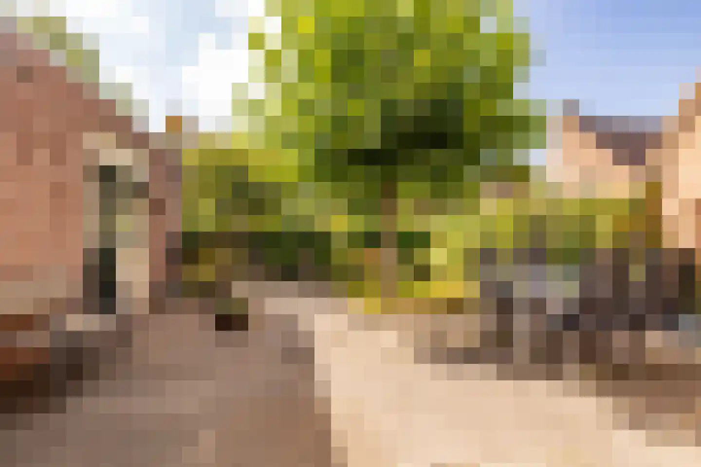 Hennepkamp 4 Hoogeveen thumbnail 39