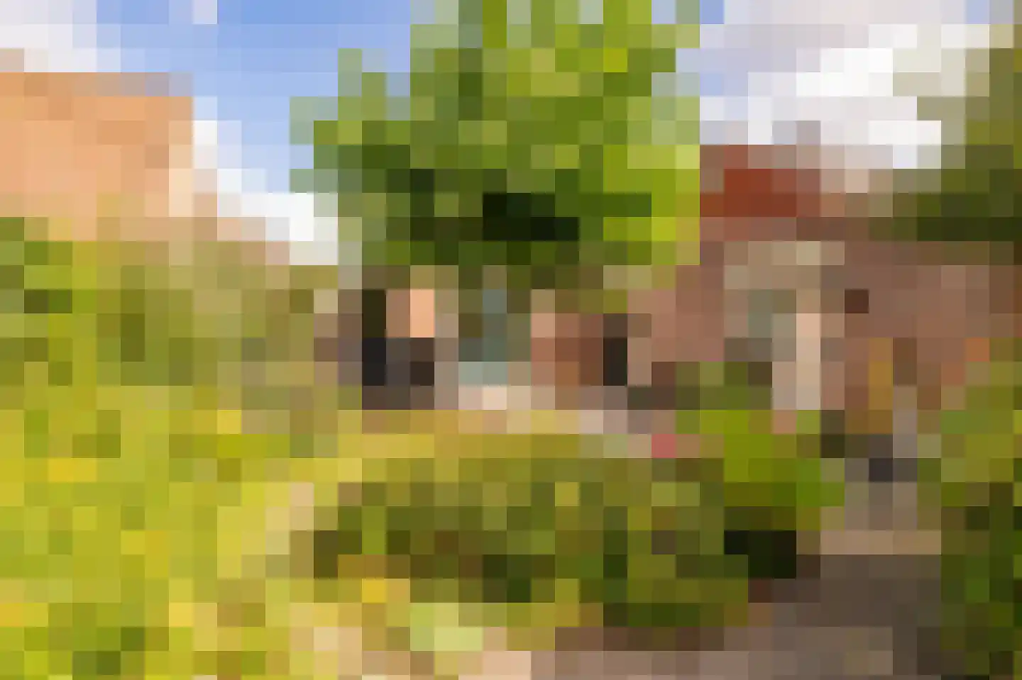 Hennepkamp 4 Hoogeveen thumbnail 41