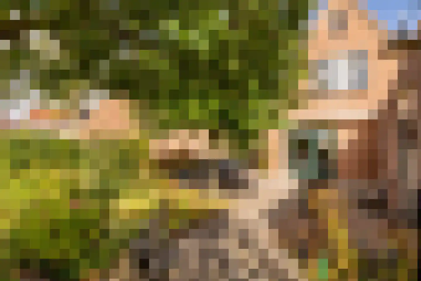 Hennepkamp 4 Hoogeveen thumbnail 42