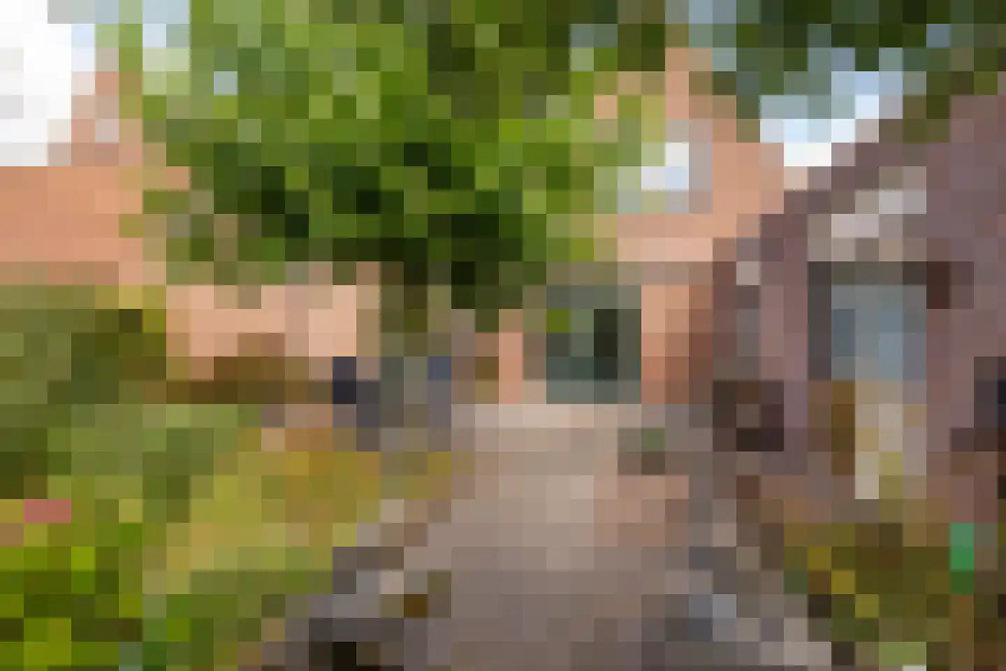 Hennepkamp 4 Hoogeveen thumbnail 44