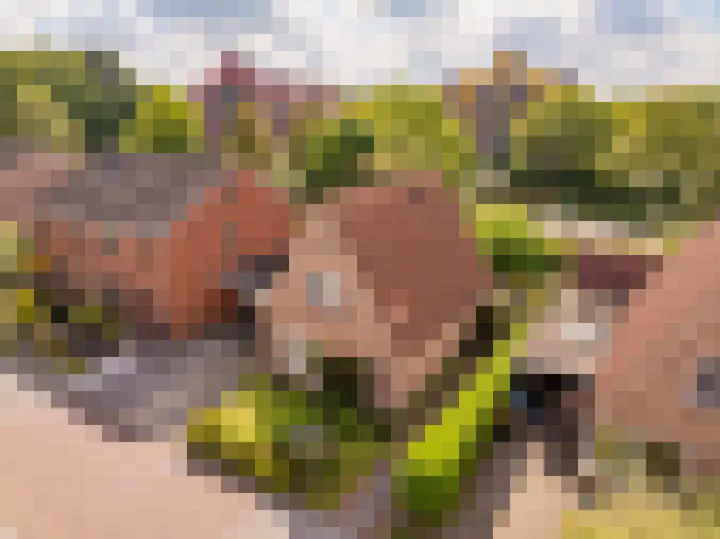 Hennepkamp 4 Hoogeveen thumbnail 47
