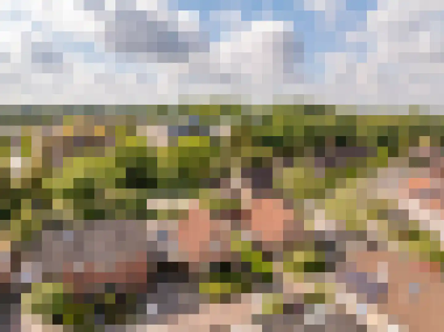 Hennepkamp 4 Hoogeveen thumbnail 48