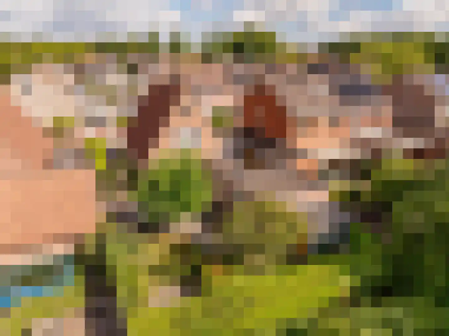 Hennepkamp 4 Hoogeveen thumbnail 6