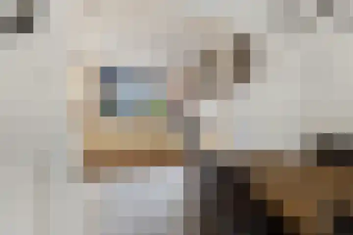Hennepwerf 16 Ouderkerk aan den IJssel thumbnail 12