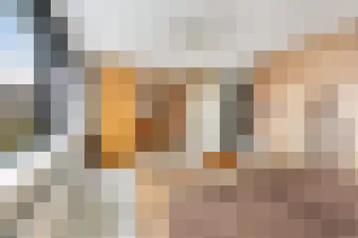 Hennepwerf 16 Ouderkerk aan den IJssel thumbnail 21