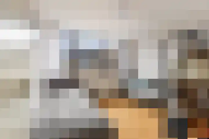 Hennepwerf 16 Ouderkerk aan den IJssel thumbnail 24