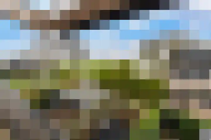Hennepwerf 16 Ouderkerk aan den IJssel thumbnail 32
