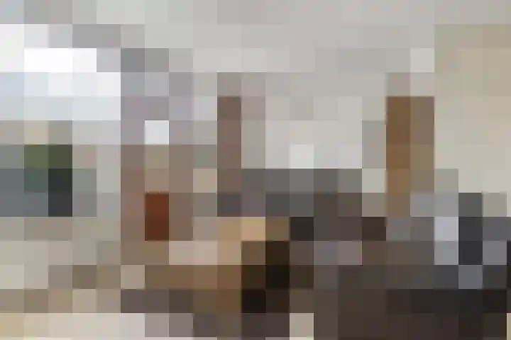 Hennepwerf 16 Ouderkerk aan den IJssel thumbnail 5