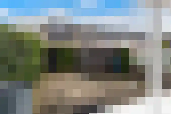 Hennepwerf 16 Ouderkerk aan den IJssel thumbnail 8