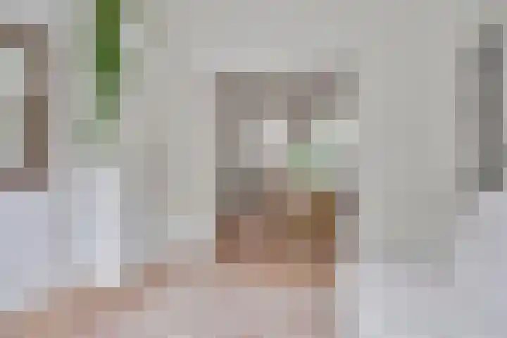 Hennequinstraat 34 's-Hertogenbosch thumbnail 16