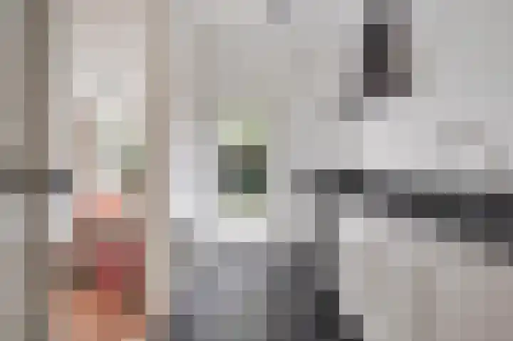 Hennequinstraat 34 's-Hertogenbosch thumbnail 17