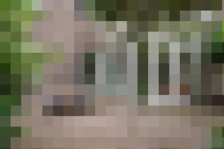 Hennequinstraat 34 's-Hertogenbosch thumbnail 20