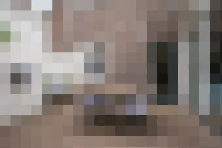 Hennequinstraat 34 's-Hertogenbosch thumbnail 21