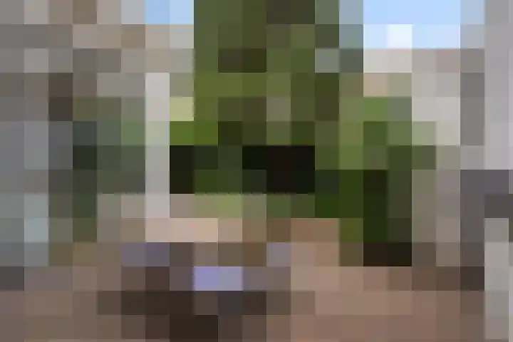 Hennequinstraat 34 's-Hertogenbosch thumbnail 23