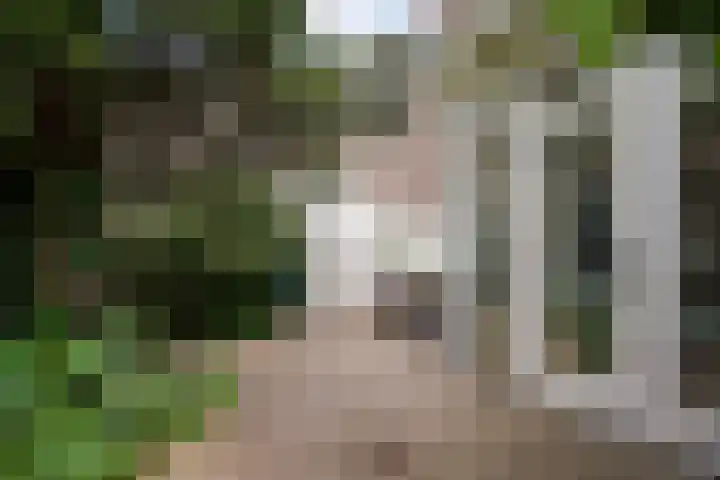 Hennequinstraat 34 's-Hertogenbosch thumbnail 25