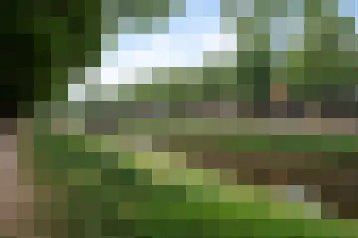 Hennequinstraat 34 's-Hertogenbosch thumbnail 38