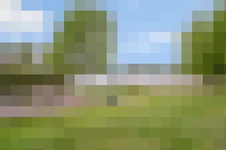 Hennequinstraat 34 's-Hertogenbosch thumbnail 39