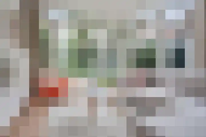 Hennequinstraat 34 's-Hertogenbosch thumbnail 7