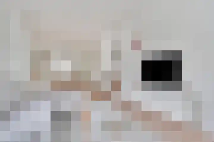 Hennequinstraat 34 's-Hertogenbosch thumbnail 8