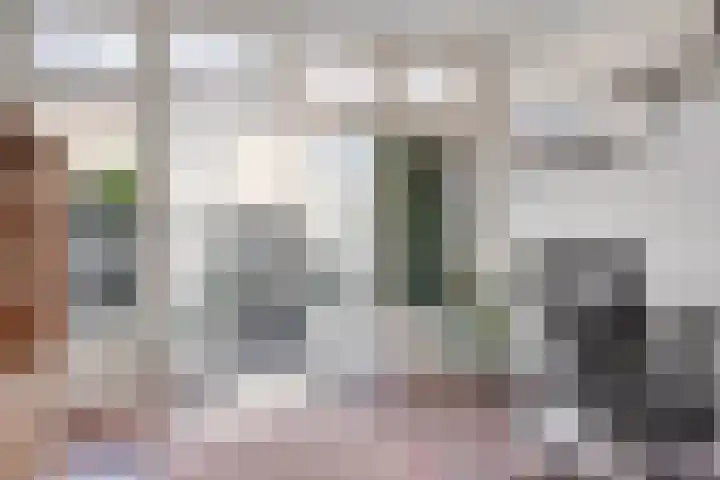 Hennequinstraat 40 's-Hertogenbosch thumbnail 13