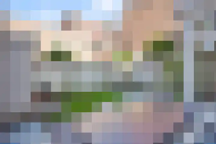 Hennequinstraat 40 's-Hertogenbosch thumbnail 19