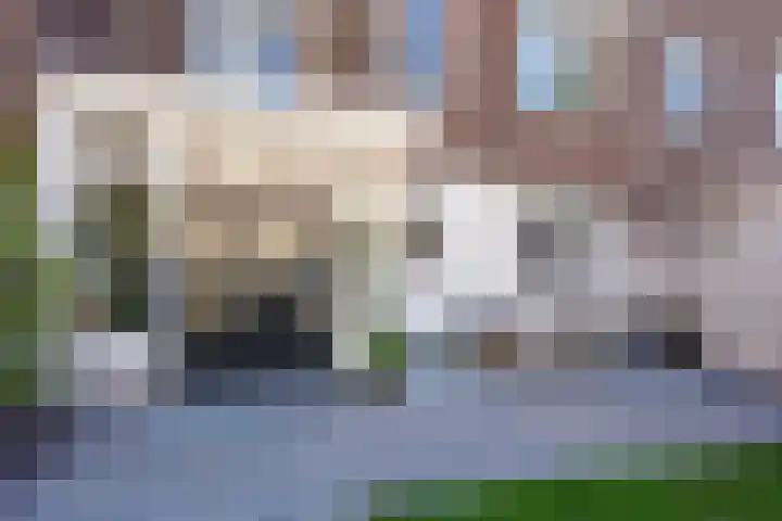 Hennequinstraat 40 's-Hertogenbosch thumbnail 22