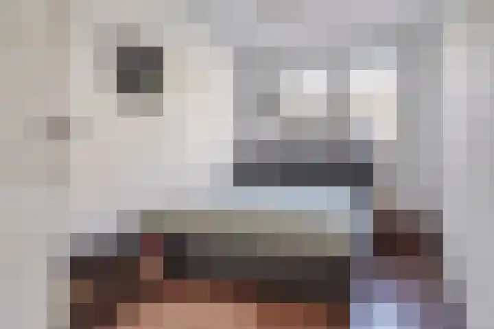 Hennequinstraat 40 's-Hertogenbosch thumbnail 23