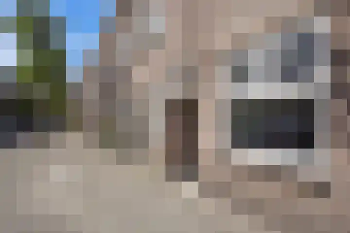 Hennequinstraat 40 's-Hertogenbosch thumbnail 35