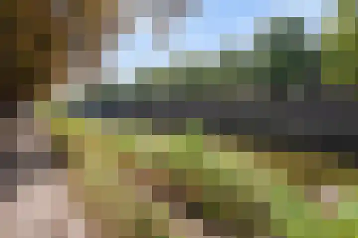 Hennequinstraat 40 's-Hertogenbosch thumbnail 37