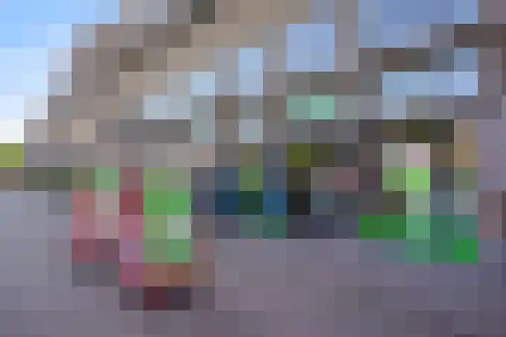 Hennequinstraat 40 's-Hertogenbosch thumbnail 39