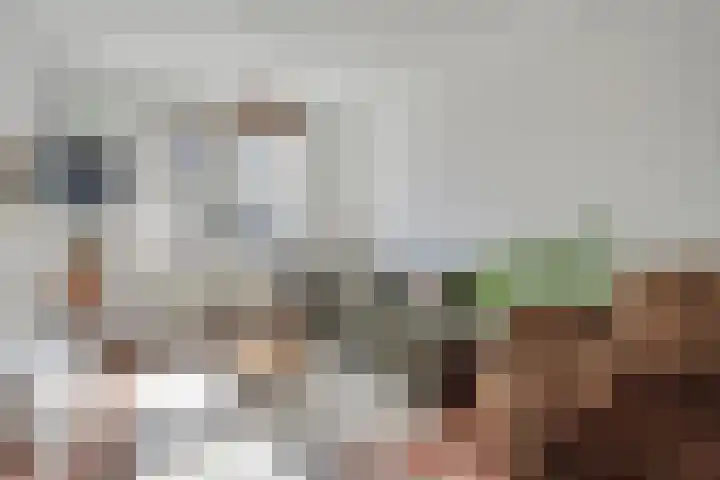 Hennequinstraat 40 's-Hertogenbosch thumbnail 4
